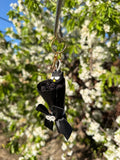 Badtz Maru Keychain